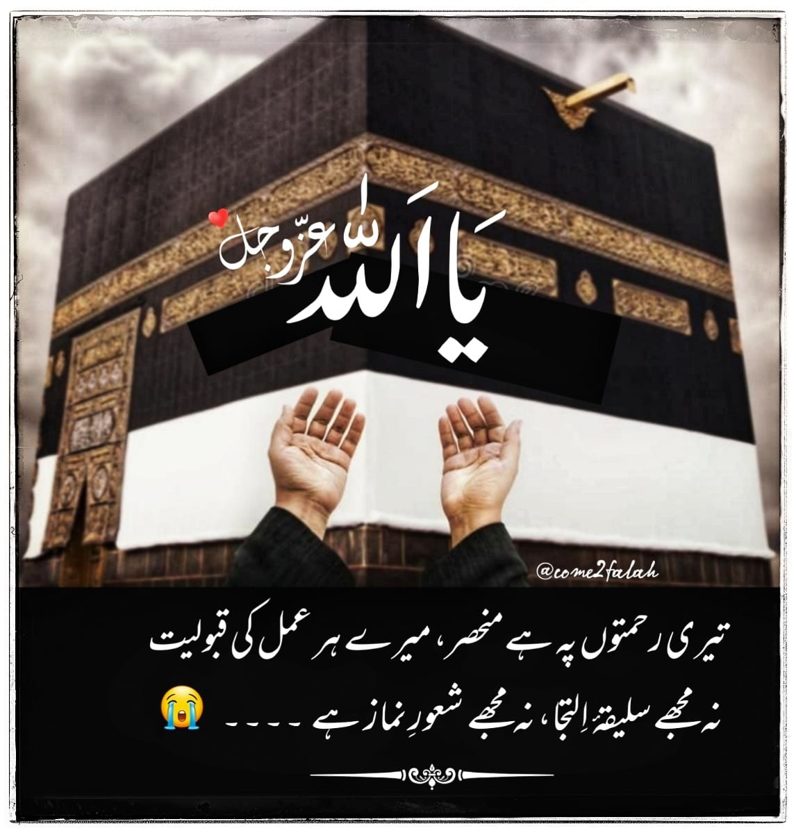mbinsultan__'s tweet photo. السلام علیکم ورحمةُ الله وبرکاتُہ 

صباح النور ،جمعہ مبارک 🤍

اللهم صلِّ وسلم وبارك على نبينا محمد ﷺ 

اللّہ تعالیٰ آپ کی ہر جائز دعا قبول فرمائے

 ہر مشکل آسان فرمائے اور اپنے فضل و کرم 

سے آپ کو دنیا و آخرت کی کامیابی عطا

فرمائے۔آمین یا رب العالمین 🤲 https://t.co/cAyalWvqTd
