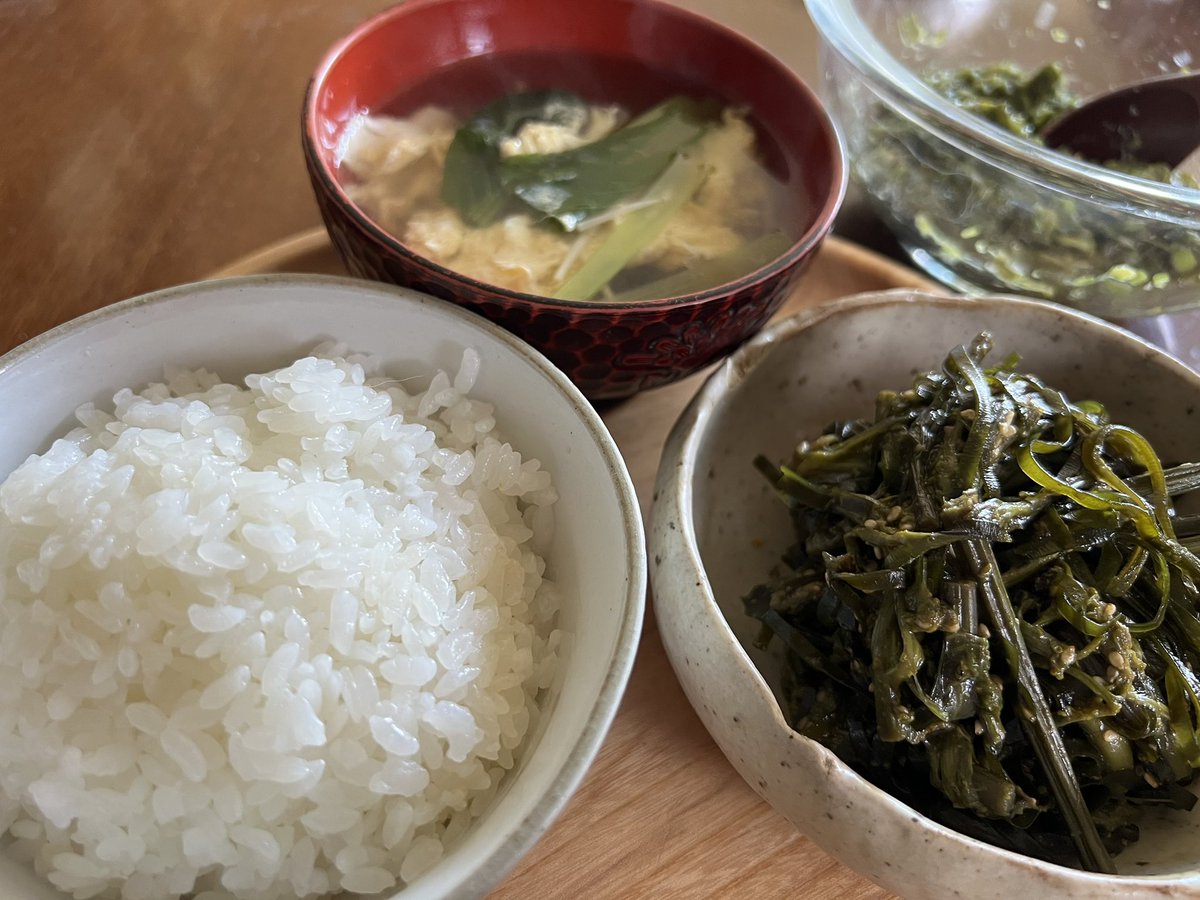 KinchanOnee's tweet photo. わらびはたたきでも美味！
ナムルももちろん美味
ごはんが進むよどこまでも(〃ω〃)

#わらび
#山菜 https://t.co/Ek4rKdFsvV