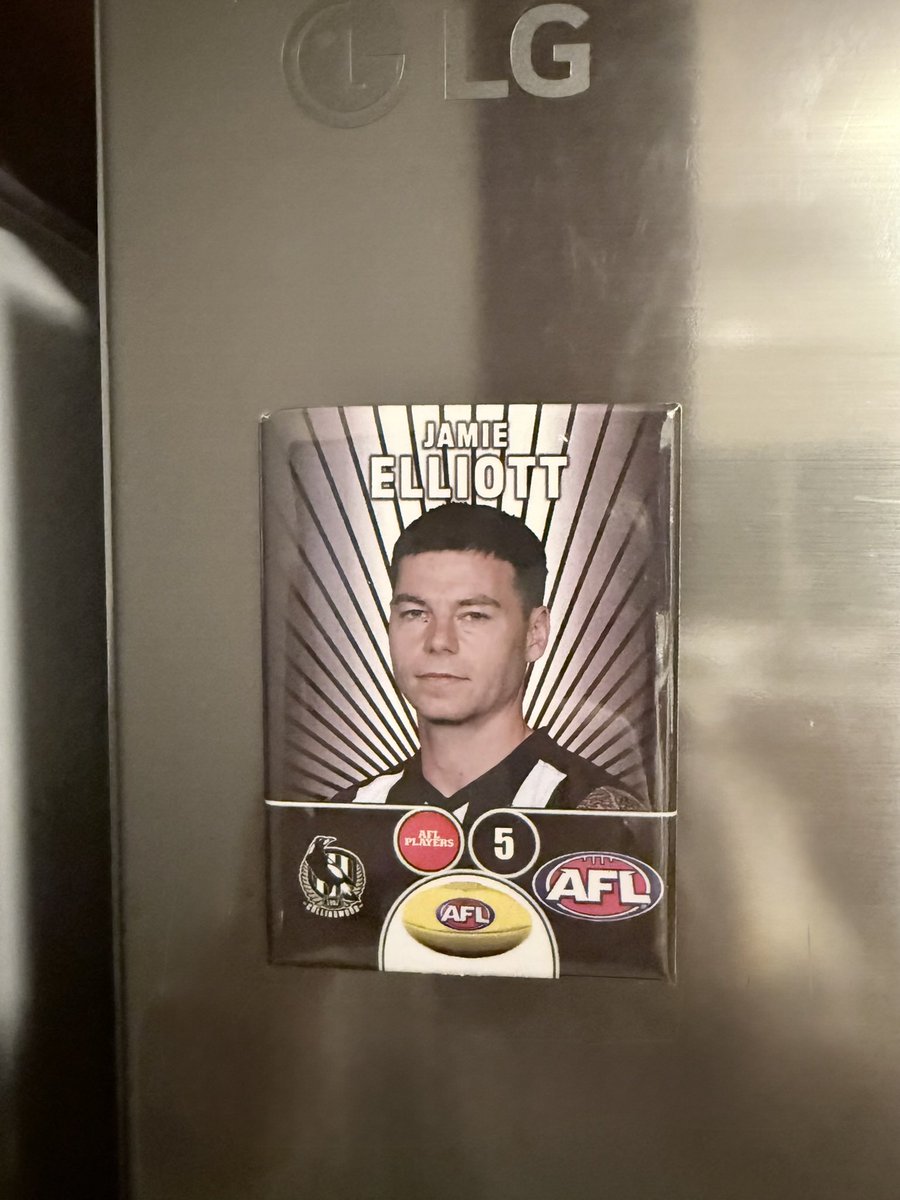 Carlsie555's tweet photo. He sits on my fridge in hope that he will recover and come back better than ever. 🖤🤍 https://t.co/5Eq3PNlDtd