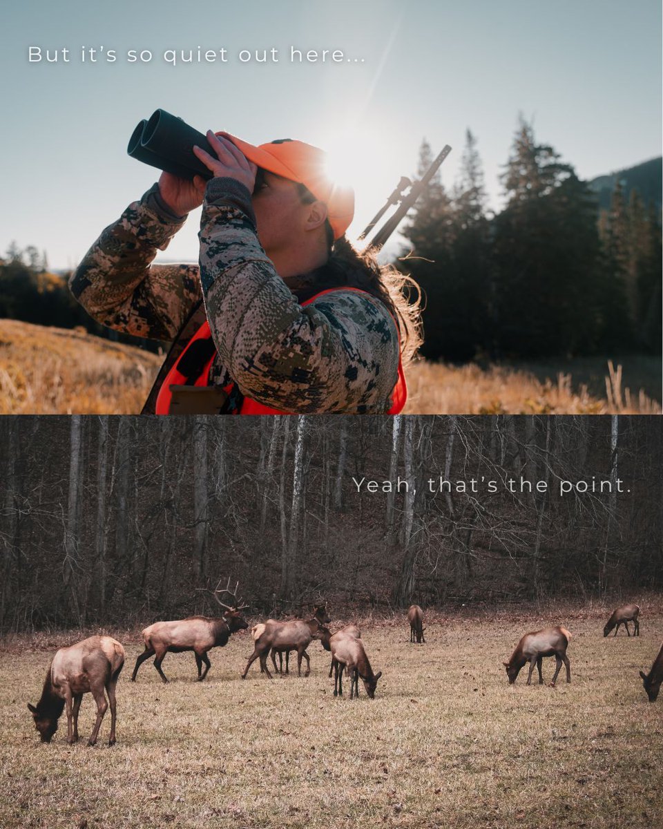 HunterandAngler's tweet photo. And that’s the ENTIRE point. 

If you know, you know.  
#HuntingHeritage #Conservation #Sportsmen https://t.co/6vFCPLUi3z