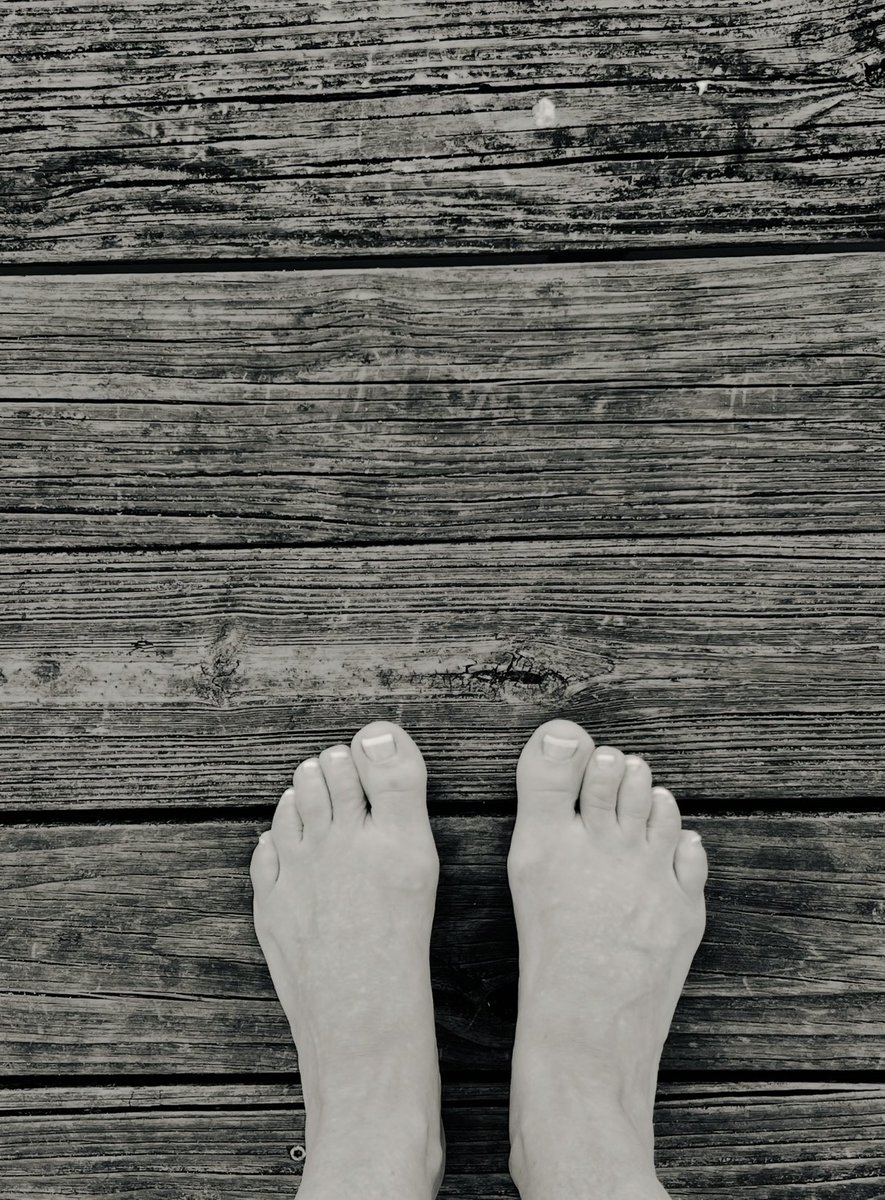 Loricarolmaloy's tweet photo. Before you move on to the next thing…

Take a moment to be where your feet are. 

#PorchLightPages #ComeHomeToYourself #SlowLiving #MindfulLiving https://t.co/ArQeMrqHe8