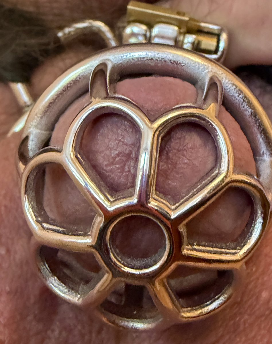Robo128X's tweet photo. Male Chastity Cage | F3016
https://t.co/rXAMhjXmGw 

Save 10% Use coupon code:
VFHQMUCS

🔐🐓🔐 #FRRK 
@Ifrrk_frrk #chastitycage
#gaychastityrt #chastityclub #gaychastityretweets
#gaychastity #chastity #lockedlife #cagecheck #caged #locked #NoNut #chaste https://t.co/rt9xY2dRAg