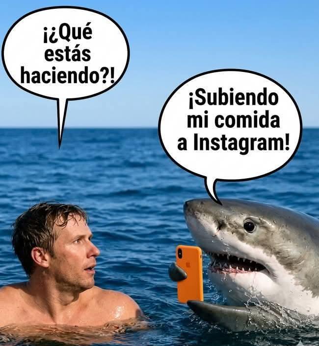 RincnCuriosoo's tweet photo. El espejo. 😆 https://t.co/bozzWj6V9e