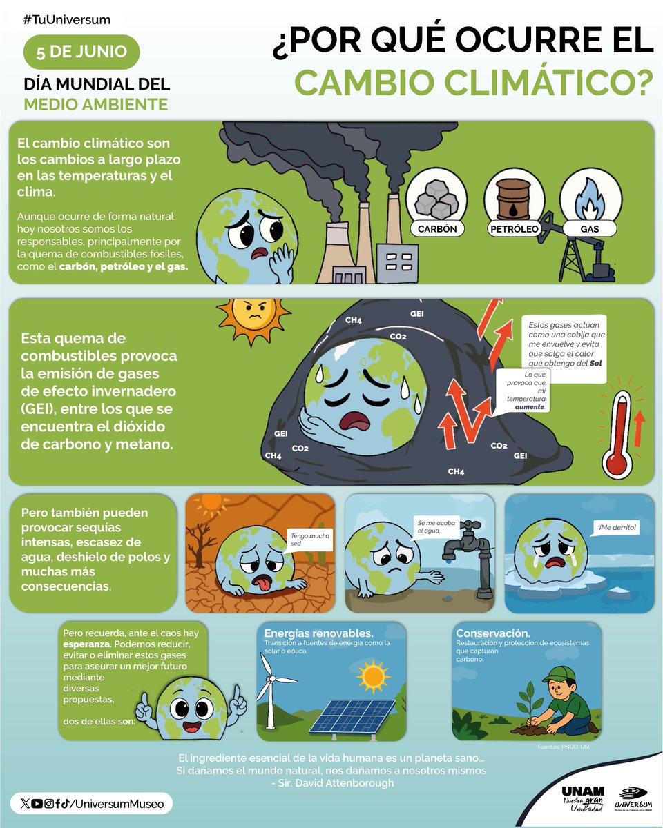 UniversumMuseo's tweet photo. #UnDíaComoHoy se celebra el Día Mundial del Medio Ambiente 🌿🌏💧
No te pierdas las actividades que tenemos preparadas para ti para celebrarlo: 🍃🪸
https://t.co/U10ysWiRew
#AcciónClimática https://t.co/sQAkla9wwZ