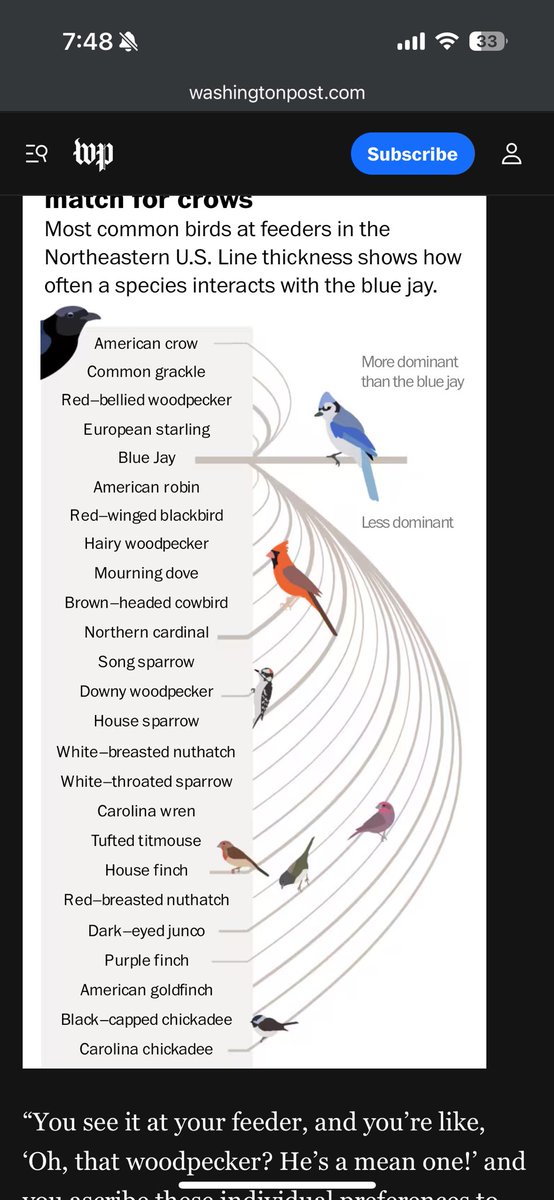 PokeMarr's tweet photo. I’m actually losing it!!!! Cardinal and above is what visits my feeder and below that is what stopped coming LMFAOOO (some of these species I also don’t have in my region) https://t.co/h2fCiT0eDJ