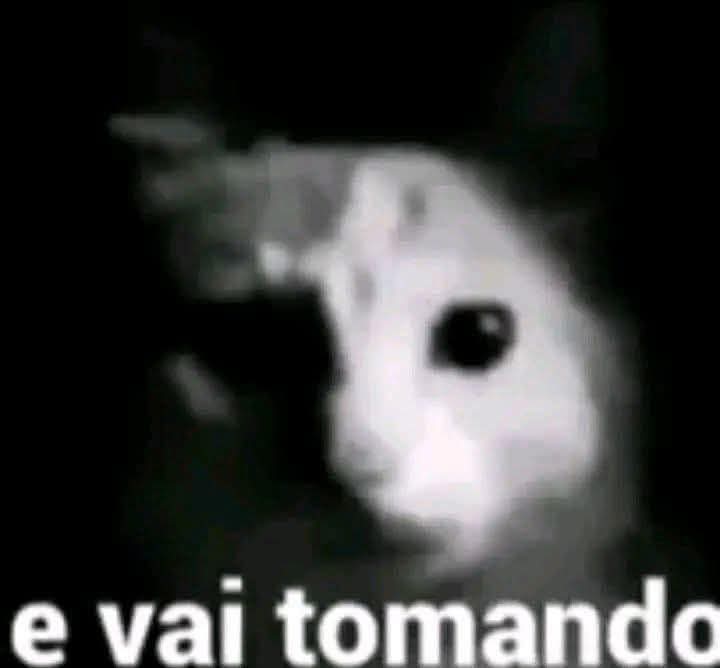 guiiimo_'s tweet photo. ai gente juro que tô tentando mas tá difícil viu https://t.co/kPKqkl4FxI