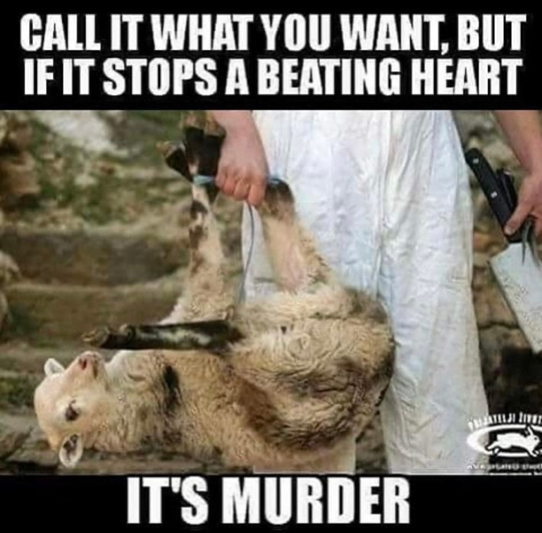 veganfuture's tweet photo. https://t.co/Rpzpo9u7Y6