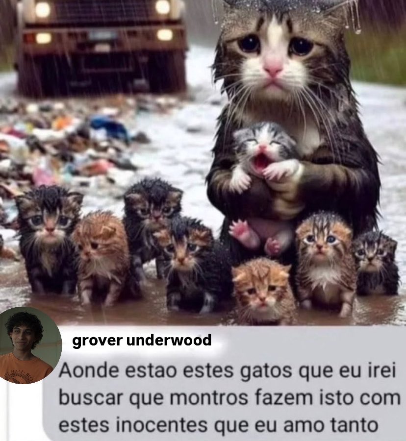lena 🐹 jurídico aryan simhadri tweet media