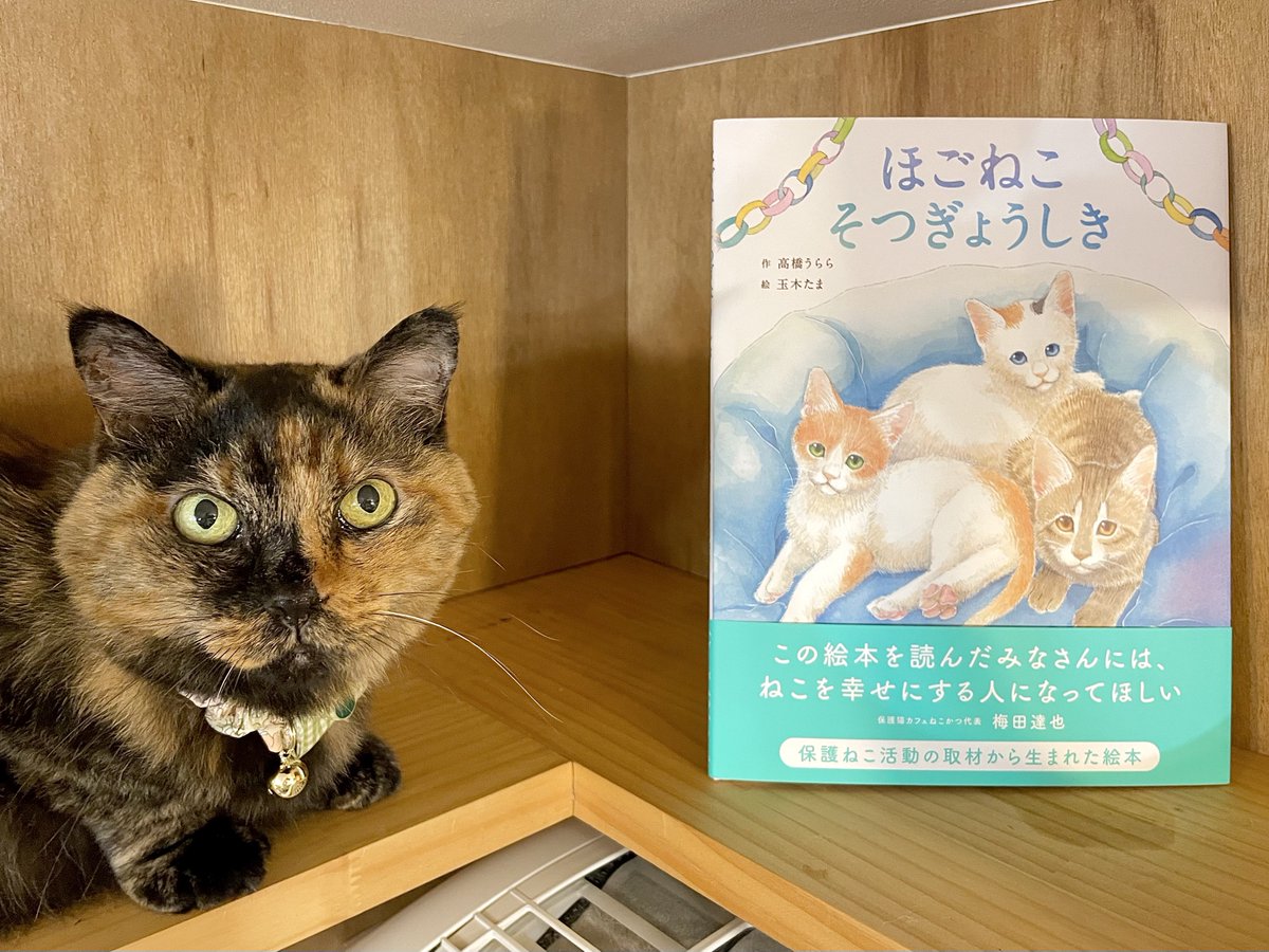CatsMeowBooks's tweet photo. 『ほごねこそつぎょうしき』（岩崎書店）は、預かりボランティアになったお母さんと男の子の家に来た3匹の子猫にずっとのおうちが見つかるまでを描いた、高橋うららさん作の絵本。卒業は嬉しいことなのに、何で涙が出るんでしょう😿保護猫の里親を探す活動をされてい��全ての方々に頭が上がりません。

ハラミチヨさん個展「Cats in the room vol.9」3日目。本日も11:00-19:00の営業です。