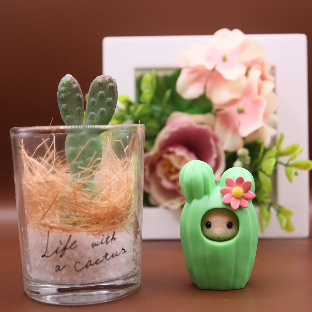 UrbanCreamCat's tweet photo. サボテンハウスかわいいなぁ🌵
100均になんだか似てるサボテンちゃんがいました🐰🏜️

取り敢えずアドベンチャーシリーズ🐯出したい笑
🌵ばっかり集まってきてる🥹 https://t.co/eiVLZo6pqm