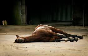racingwrongs's tweet photo. Horses Killed on or at U.S. Tracks in 2025. 
R: Racing Death 
T: Training Death 
S: Stall Death 
Death at the track is inevitable part of racing! 
#EndHorseracing #BelmontStakes #TripleCrown #Saratoga #Belmont #AnimalCruelty #AnimalAbuse #HorseracingWrongs https://t.co/TZqFPBz4R4 https://t.co/PVuin6Ng8a