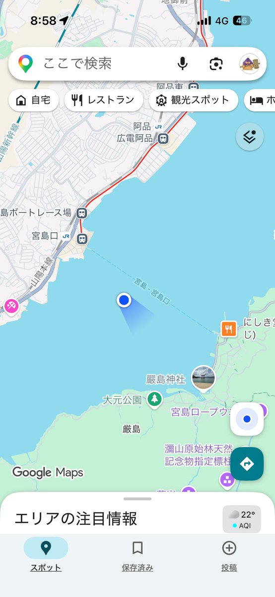 こま。 tweet media