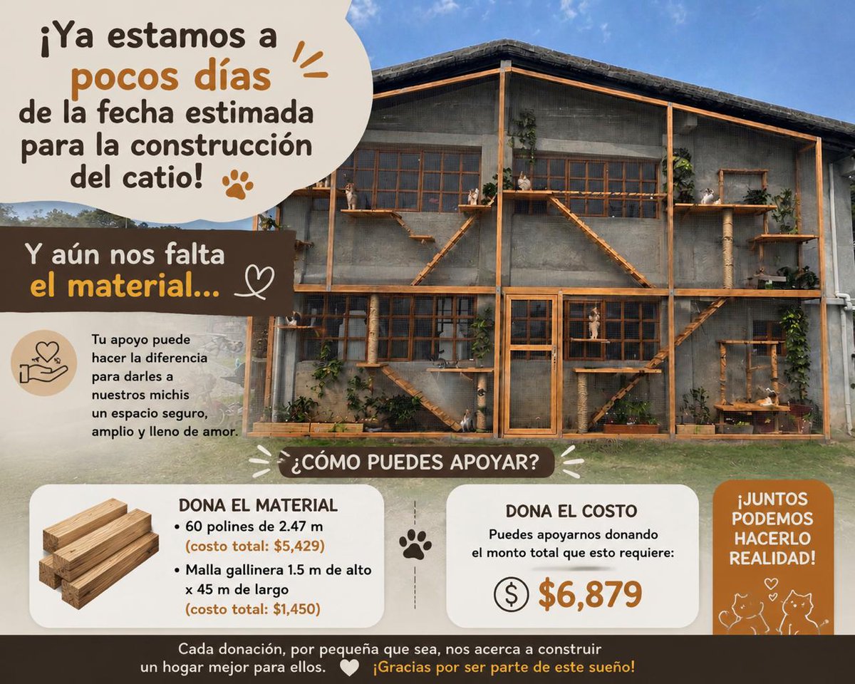 FundacionToby's tweet photo. 🐾🏡 Estamos muy cerca de hacer realidad este sueño...

En pocos días comenzará la construcción del catio para nuestros gatos rescatados, un espacio seguro donde podrán correr, jugar, tomar el sol y vivir con mayor bienestar.

Pero aún nos falta reunir el material.

Necesitamos:

🪵 60 polines de 2.47 m
💰 $5,429

🛠️ Malla gallinera de 1.5 m x 45 m
💰 $1,450

Meta total:
🎯 $6,879

Si 69 personas donan $100, lo logramos.
Si 138 personas donan $50, también.

No importa el monto, cada aportación nos acerca a darle a nuestros michis el espacio que merecen. ❤️

🐾 DONA AQUÍ:

BBVA
Cuenta: 0117412991
CLABE: 012180001174129915

Santander
Cuenta: 60577008001
CLABE: 014180605770080014

Mercado Pago
CLABE: 722969010583593935
Tarjeta: 5428 7851 1122 0215

PayPal:
https://t.co/IWW9kwJ7By

Si no puedes donar,