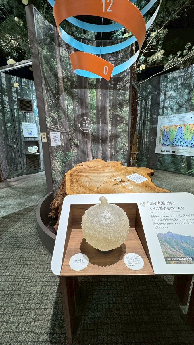 Graphtec_Japan's tweet photo. おはようございます！東戸塚は曇り時々晴れ⛅本日は環境の日🌳緑を見ると心が落ち着きますね☆華の金曜日頑張っていきましょう！

#イマソラ #企業公式が朝の挨拶を言い合う #企業公式が毎朝地元の天気を言い合う #企業公式春のフォロー祭り #何がとは言わない https://t.co/l8zFvY7sRh