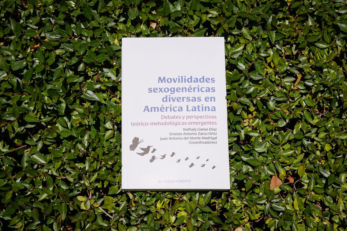 elcolmex's tweet photo. Novedad editorial 📚 
Movilidades sexogenéricas diversas en América Latina. Debates y perspectivas teórico-metodológicas emergentes, de Nathaly Llanes Díaz, Ernesto Antonio Zarco Ortiz y Juan Antonio del Monte Madrigal (coords.).
Adquiérelo en el sitio web de @LibrosColmex: https://t.co/TVfRhdDPCF
Esta obra colectiva constituye una apuesta por repensar las movilidades de personas con identidades sexogenéricas diversas a lo largo de América Latina desde un enfoque situado y crítico. Los distintos trabajos que lo componen contribuyen al campo de estudios de la migración desde abordajes teórico-metodológicos novedosos y éticos ante las transformaciones del contexto migratorio latinoamericano.
@CEDUAcolmex @BiblioColmex