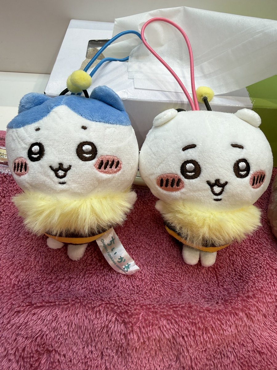 🍉中川翔子🍉🐈‍⬛ (@shoko55mmts) / Posts and Replies / X