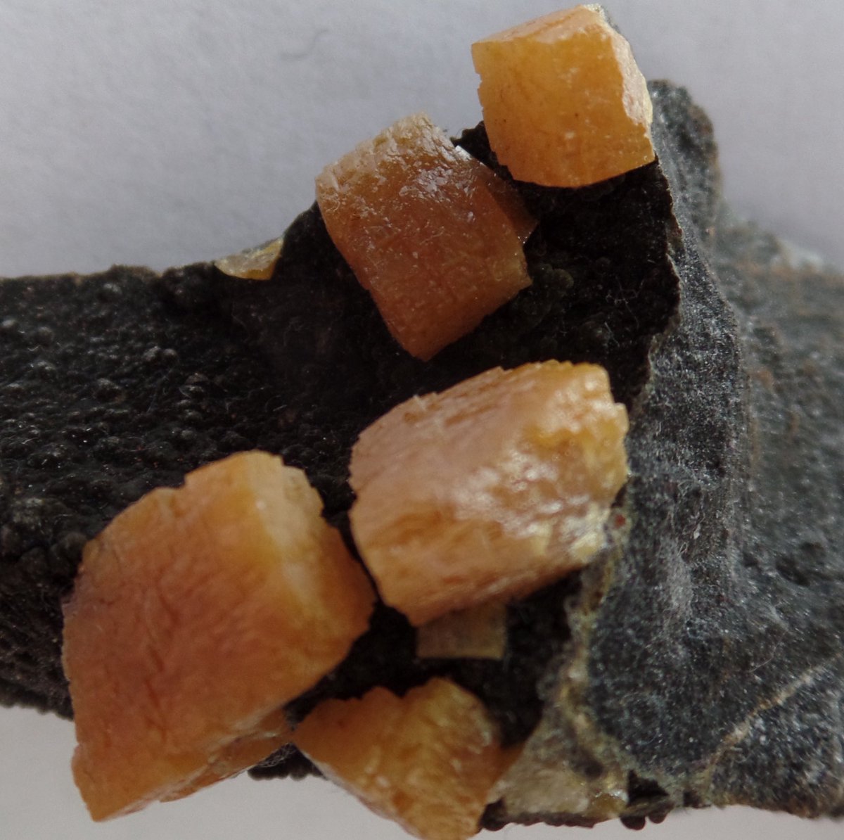NomadSprtJewlry's tweet photo. This is #wulfenite from Mexico 🇲🇽 Feel free to like, comment, share, follow ☮️❤️😃 Visit our Etsy shop to view our selection. Here’s the link:

https://t.co/fhHFBip9c4

 #gem #gems #gemstone #gemstones #mineral #minerals #rock #rocks #stone #stones #crystal #crystals #jewelry https://t.co/B2oey2uguE