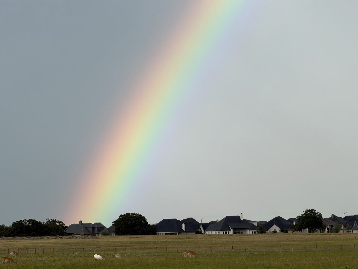 tonytewitty's tweet photo. @KBTXMax Rainbows this evening in College Station https://t.co/1c3GGA1S3G