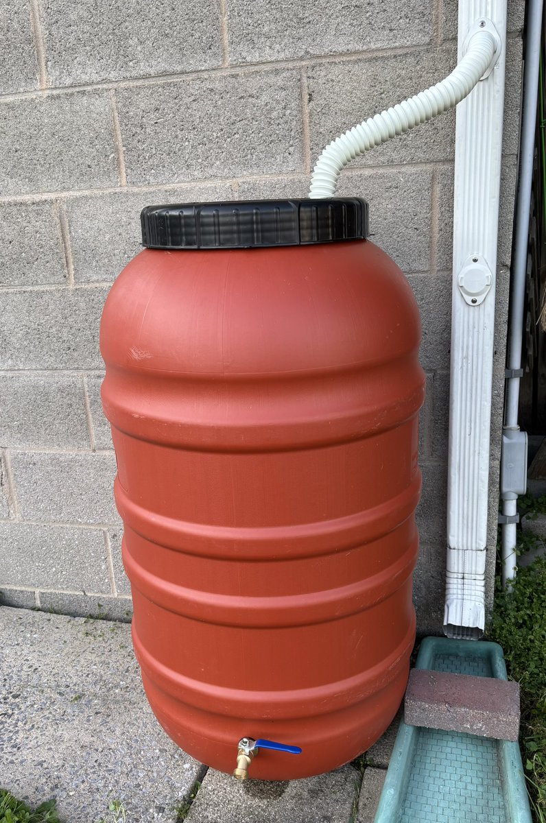 windkbba's tweet photo. Let it rain. My new 55 gal rain barrel. https://t.co/TOoi590t4t