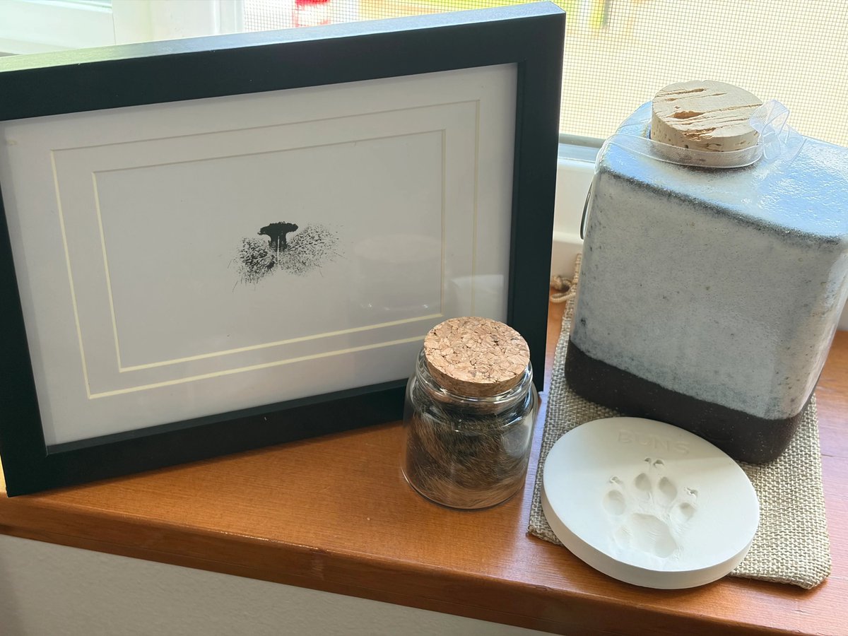 TheTeawrex's tweet photo. Hey y'all, I don't post here anymore really but for those who might care, we had to put Buns down after her long life of love. https://t.co/oAeLbAWhyx