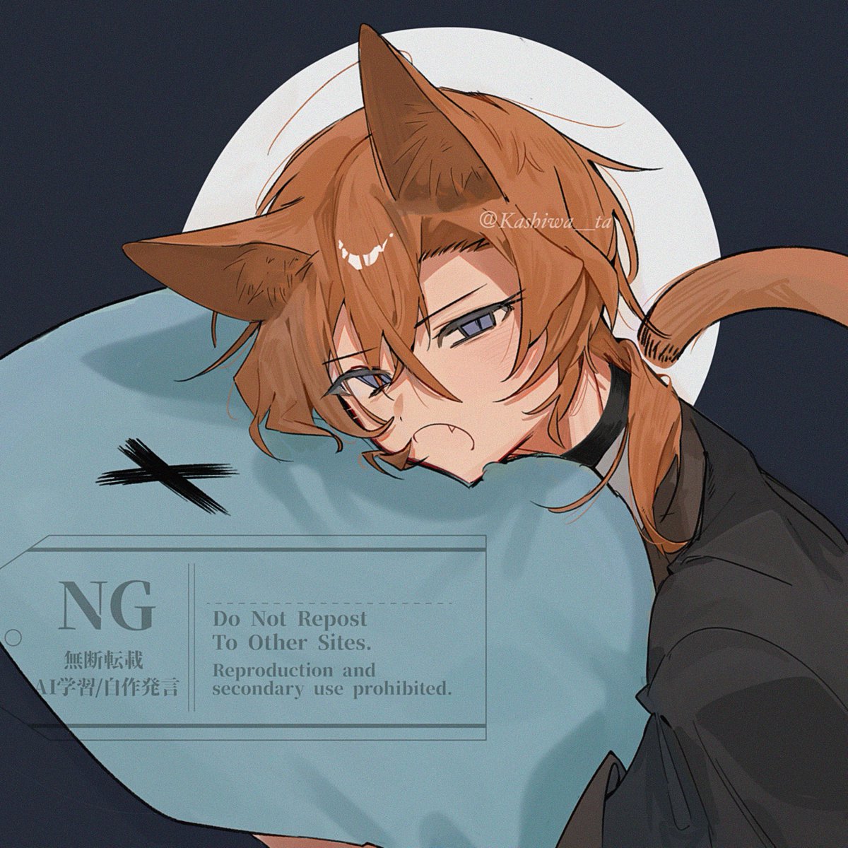 柏汰 (@Kashiwa_ta) / Posts / X