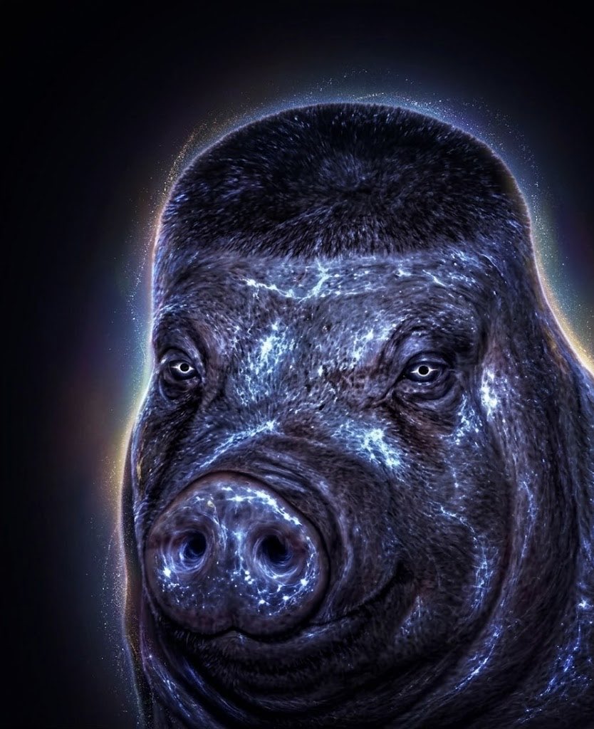 HowlingHawg's tweet photo. Antimatter Wigger Pigs https://t.co/fcxaMZaABn