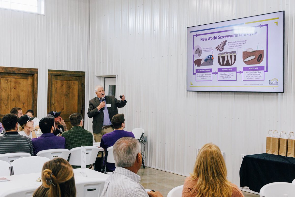 kstateag's tweet photo. Animal health preparedness helps safeguard food systems, producer livelihoods, and consumer confidence.

A worthwhile look at how leaders across agriculture, veterinary medicine, and technology are preparing for emerging threats. https://t.co/axJanbKLui
#KSAgriculture #Kstateag https://t.co/3FXsKHGP4k