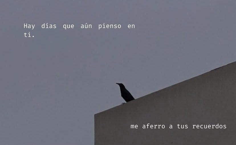 ferchoec_'s tweet photo. 04 junio https://t.co/OKWoO4KJqp