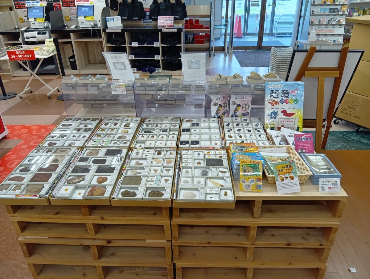 6月1日よりTSUTAYA広面店にて、化石鉱物フェアを開催いたしました