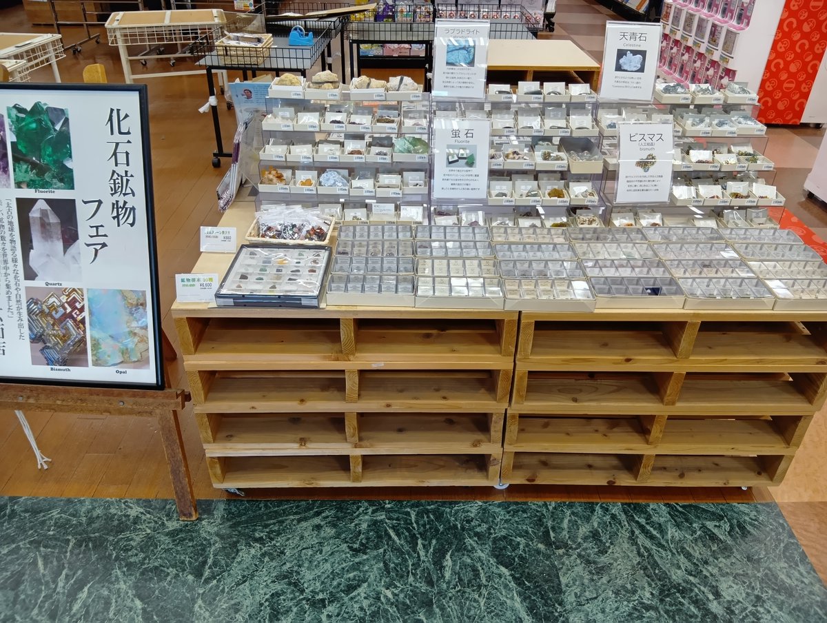 6月1日よりTSUTAYA広面店にて、化石鉱物フェアを開催いたしました