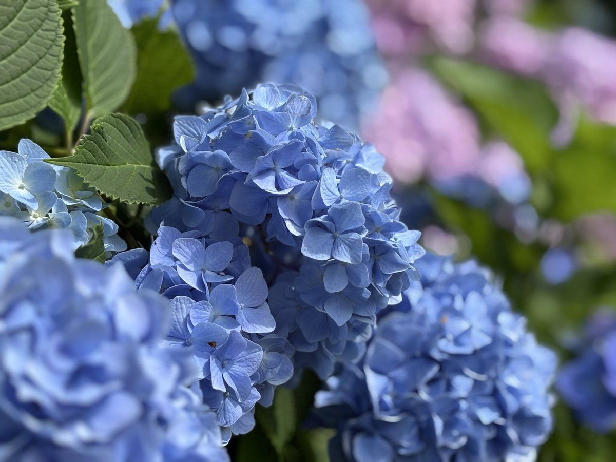 ぐぅ (@guuuuuuuu2072) / Posts / X