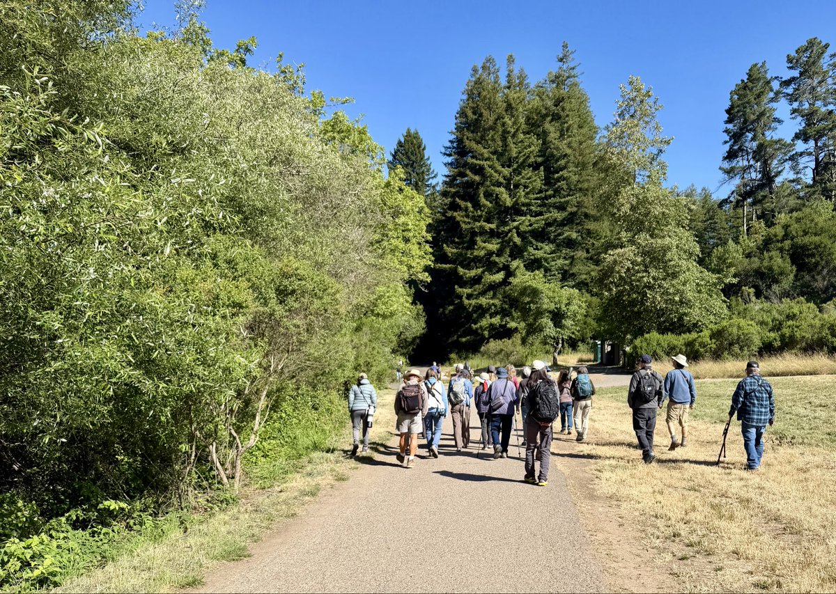 hoppes1949's tweet photo. Joined 20 Ohlone birders at the Stream Trail in Redwood Regional park for California Breeding Bird Atlas Big Weekend. This is one of my favorite spots to hike and bird. Spotted 35 species. Best was a Western Flycatcher on nest, and good looks at Wilson’s Warbler and Pacific Wren. https://t.co/YdFA1xS0F0