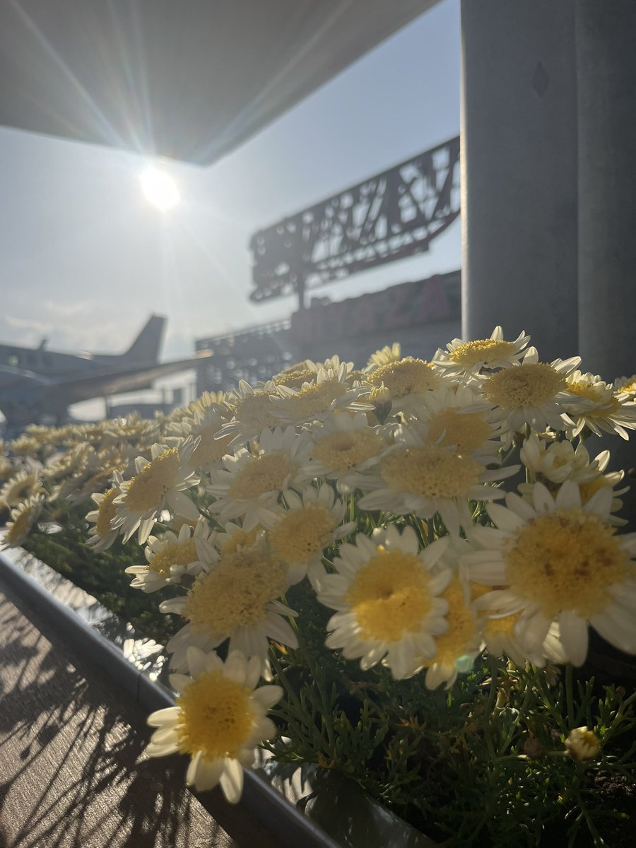 Singerizumi51's tweet photo. .
3月は京都の清水寺へ⛩️✨
日々のちょっとしたリセット旅☺️

最近は少しずつ
「頑張る」だけじゃなく
息抜きする時間も大切に🪴

英語も歌も感性や
インスピレーションって
ほんとに大事

スーツケースを引きながら
清水寺の階段を登った。笑

なかなか大変だったけど
今思えばそれもいい思い出🌸 https://t.co/N6C5qfbpcL