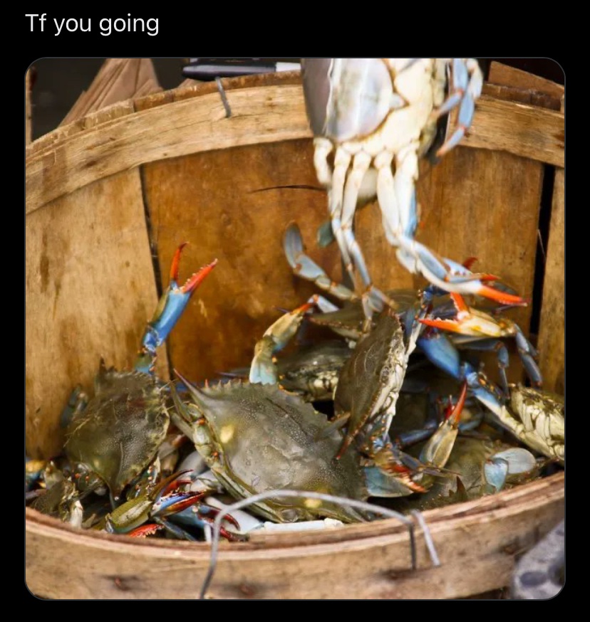 JadeAtrophis's tweet photo. It's a very crab in the bucket mentality https://t.co/mfxhdetVTW