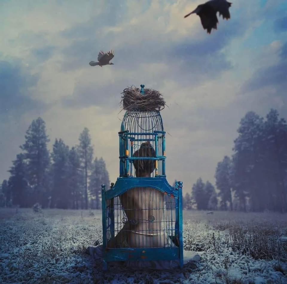 maximumpain333's tweet photo. THE ONLY SALVATION OF THESE TORMENTED SOULS IS WITHIN THE DEPTHS OF THEIR OWN PERSONAL TRIALS AND TRIBULATIONS 

We live in a world where the majority lack the mental fortitude for critical thinking and the psychological capacity for disillusionment, unsettling truths of the nature of reality and the human condition. 

Where individuals have been hypnotized and conditioned to unquestioningly believe and accept whatever they are presented with, to obediently submit to authority, and to mindlessly conform to societal norms. They mistakenly perceive their own conditioned beliefs and perceptions as infallible truths. 

This inability to cope with disillusionment stems from an existential crisis. Facing the possibility that their entire reality may be a fabricated illusion strikes at the core of their identity. They are essentially evading a dark night of the soul at all costs, the period of extreme darkness,  the death and rebirth necessary in our evolution of consciousness. 

When disillusionment infiltrates their minds, a storm brews within. It ignites neural pathways in the brain and unleashes chemicals tied to one's identity, defense mechanisms, emotional responses, and cognitive functions. They seek refuge in their safe haven, the soothing and comforting territory of ignorance. 

Anyone bold enough to unveil the truth are met with rejection, resistance, ridicule, mockery, hostility, vacant stares, or even accusations of madness. 

Little do they know, their reaction is an automated defense mechanism ingrained in them through their conditioning. They are responding precisely as they have been programmed to do. They are puppets, dancing to the tune of their unseen puppeteers.

We are submerged in an ocean of individuals who are operating as programmed machines. You cannot awaken them from their hypnotic state. Interacting with these automatons becomes a maddening and futile task. It will lead to insanity. Their minds are completely barricaded from conscious expansion or understanding.

The only salvation of these tormented souls is within the depths of their own personal trials and tribulations. Only when confronted with the darkness of their own souls, will they begin to question the very fabric of their existence and the nature of reality. 

Navigating in a society where conscious awareness and critical thinking is a rare commodity, and blind conformity reigns supreme is truly a wild ride. Stay close to your kind, for we need each other now more than ever in this mad, mad world.

✨🙌🏾💫