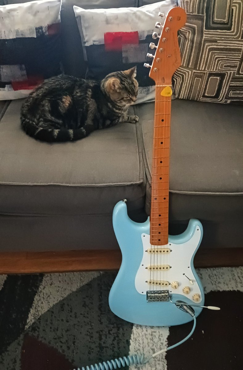 GuitarG71647302's tweet photo. I came home to an ever more chipper Liam than this morning. Plus, he's starting to eat again. 🙌🏽
He's also back to posing with his favorite guitars- tonight's being his 2nd favorite Strat: Ole' Sonic.  😸
#Fender #Liam https://t.co/WTSI2hQrb8