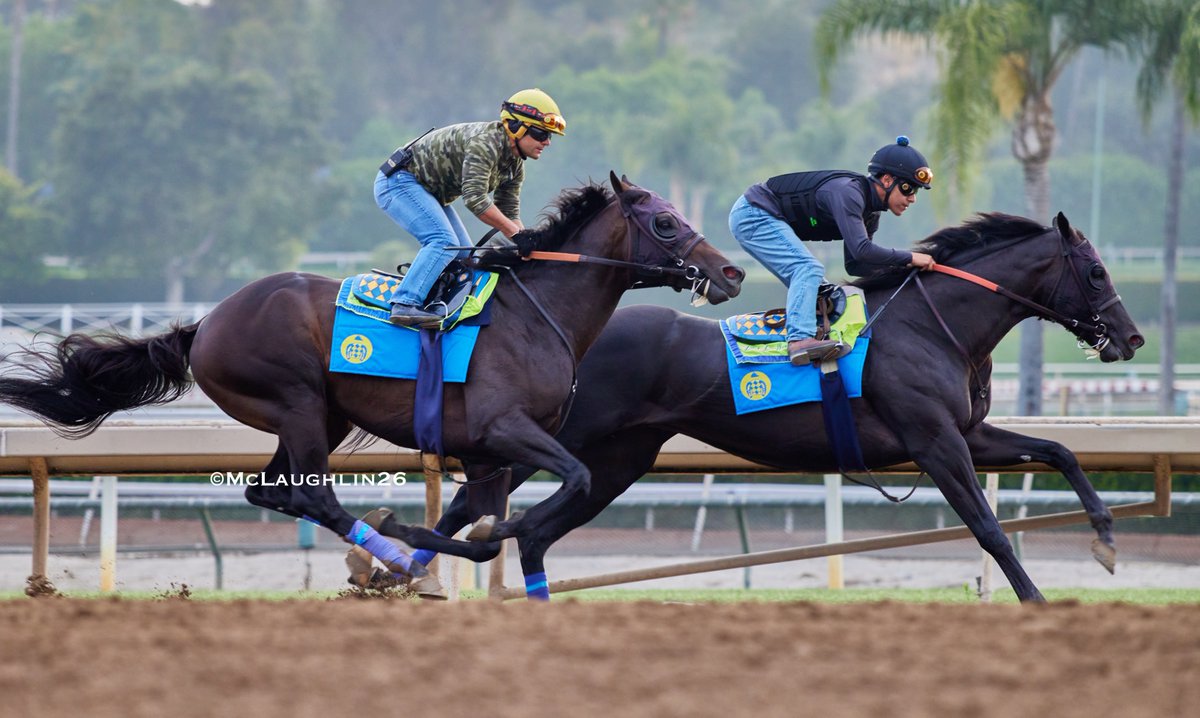 kimo16's tweet photo. Nice looking 5F in 59.80 this morning for Faran (Not This Time out of Kayce Ace) under Erick Garcia working inside of st Gaming with Juan Ochoa up for HoF trainer Bob Baffert @santaanitapark @ZedanRacing @BobBaffert @Ersick05 https://t.co/XTFeQWCCEj