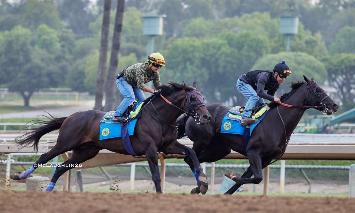 kimo16's tweet photo. Nice looking 5F in 59.80 this morning for Faran (Not This Time out of Kayce Ace) under Erick Garcia working inside of st Gaming with Juan Ochoa up for HoF trainer Bob Baffert @santaanitapark @ZedanRacing @BobBaffert @Ersick05 https://t.co/XTFeQWCCEj