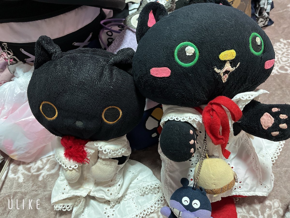 1031Maya's tweet photo. おはよう🥱
朝風呂入ってた🛀
にゃんこたちと一緒に起きたよ☺️ https://t.co/1IOoExglJq