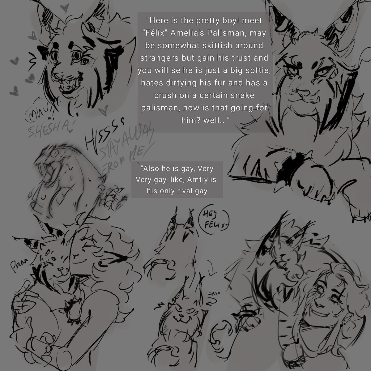 harasthings's tweet photo. A little about him too! 
Thank you for help @Sky123Ferri https://t.co/NIUUUBeTj8