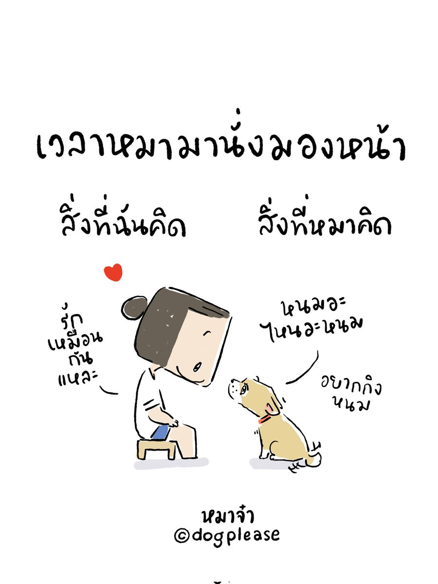 dogplease2013's tweet photo. https://t.co/Wu6HJcCdTZ