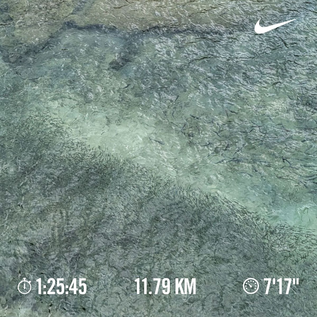 draftbeerman's tweet photo. 小魚と中魚の分かれ目🐟️ https://t.co/u9RciXiolz