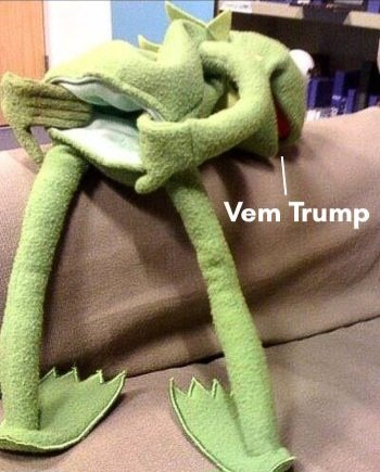 NickoPB's tweet photo. @BolsonaroSP O bananinha nesse exato momento https://t.co/XjHBdPhnU1