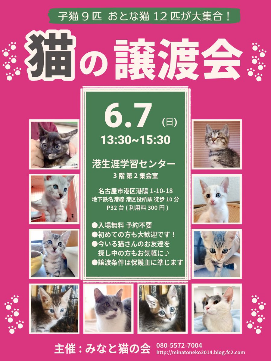 minatonekonokai's tweet photo. #拡散RP希望
【猫の譲渡会】 
6/7(日)13:30-15:30
名古屋市港生涯学習センター
入場無料•予約不要

子猫9匹•大人猫12匹が大集合🐾 お友達を探している先住猫オーナーさんも大歓迎🍀

1匹でも多くの猫が幸せになれるよう、皆さんの温かいリポストでの拡散をお願いいたします

#猫好きさんと繋がりたい https://t.co/DBJkTfvBt1
