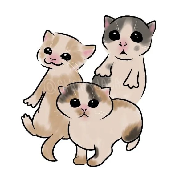 stickydacat's tweet photo. The three. https://t.co/fIud3Yjiew