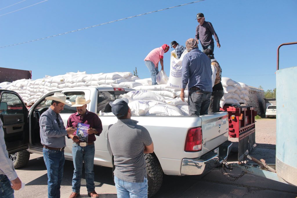 GobiernoEdoChih's tweet photo. 🌽🤝 En Chihuahua seguimos acompañando a las y los productores que día con día sostienen la actividad pecuaria de nuestro estado.

Con la entrega de maíz en Satevó fortalecemos la alimentación del ganado y apoyamos directamente a las familias que trabajan y viven del campo.

Seguimos presentes donde más se necesita, respaldando al sector rural con acciones que generan resultados.

#CuentaConmigo