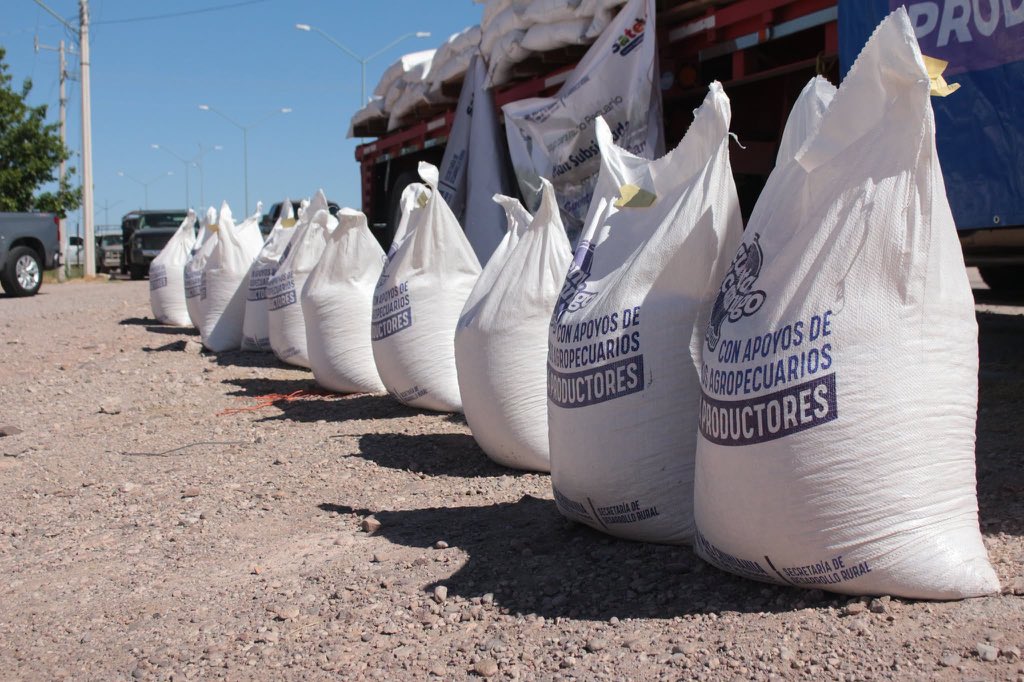 GobiernoEdoChih's tweet photo. 🌽🤝 En Chihuahua seguimos acompañando a las y los productores que día con día sostienen la actividad pecuaria de nuestro estado.

Con la entrega de maíz en Satevó fortalecemos la alimentación del ganado y apoyamos directamente a las familias que trabajan y viven del campo.

Seguimos presentes donde más se necesita, respaldando al sector rural con acciones que generan resultados.

#CuentaConmigo