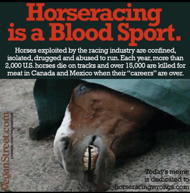 racingwrongs's tweet photo. The horserace itself is an unequivocally unnatural act. “Born to run, love to compete” is a lie, at least in how the industry means it. Horses running &amp; playing in an open field bears no resemblance to what happens at a racetrack. #BelmontStakes #EndHorseracing #Belmont #Saratoga https://t.co/cy4lyGr8nq