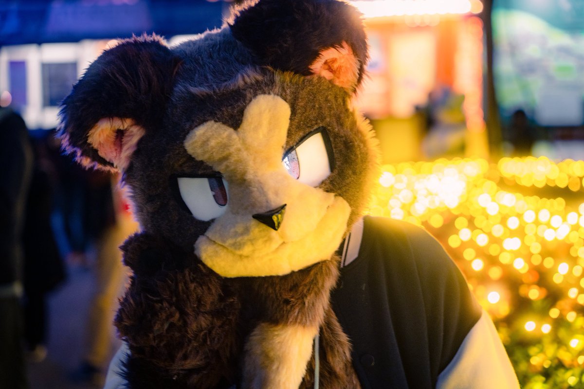 kimpira727's tweet photo. 次、どこにいく？

#FursuitFriday https://t.co/8oxm0zp195