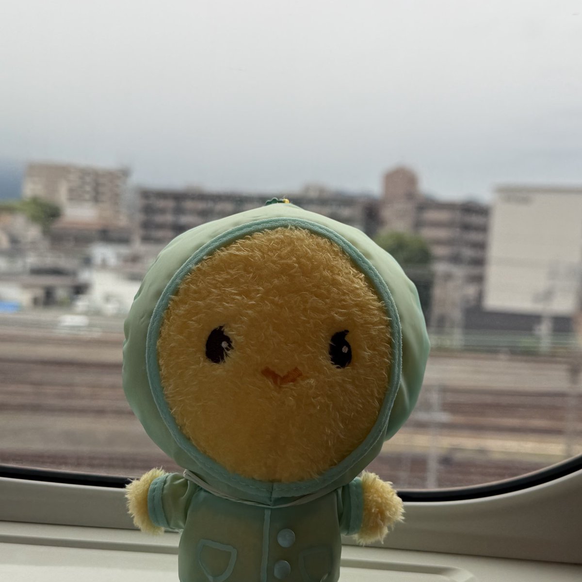 chie6833's tweet photo. しゅっぱぁーつ(δvδ) https://t.co/5fX0YWdsIb